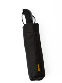 Парасолька Famo модель PK-A-2316_01 Фото