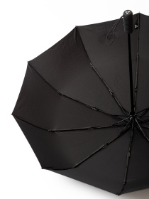 Зонт Famo модель PK-A-2101_01 Фото