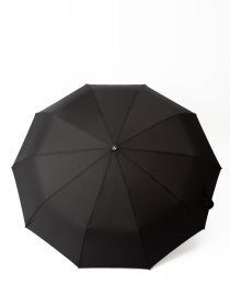 Зонт Famo модель PK-A-2101_01 Фото