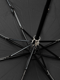 Зонты Famo модель PK-M-2301_01 Фото