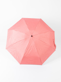 Зонты Famo модель PK-A-1016_01 Фото