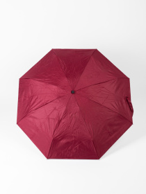 Парасольки Famo модель PK-A-1016_02 Фото