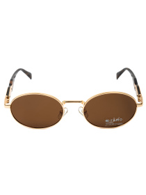 Окуляри Famo модель A34005P_04 Фото