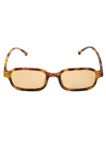 Очки Famo модель A14044P_03 Фото