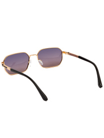 Окуляри Famo модель E8211_03 Фото