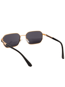 Очки Famo модель E8211_06 Фото