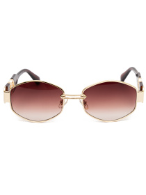 Очки Famo модель E8225_03 Фото