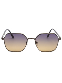 Солнцезащитные очки Famo модель E8207_05 Фото