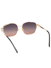 Солнцезащитные очки Famo модель E5837_09 Фото