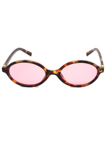 Очки Famo модель AS29246_01 Фото