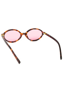 Очки Famo модель AS29246_01 Фото