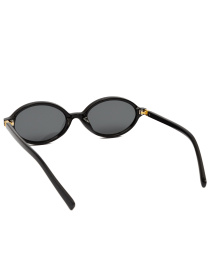 Очки Famo модель AS29246_03 Фото