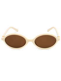 Очки Famo модель AS29246_07 Фото