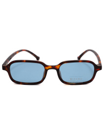 Окуляри Famo модель A14044P_06 Фото