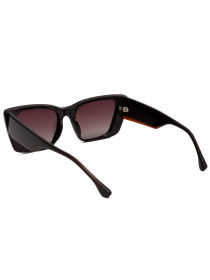 Очки Famo модель A14008P_02 Фото