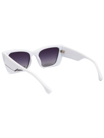 Очки Famo модель A14008P_03 Фото