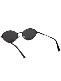 Окуляри Famo модель A21034P_02 Фото