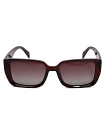 Солнцезащитные очки Famo модель A1207P_01 Фото