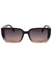 Солнцезащитные очки Famo модель A1207P_02 Фото