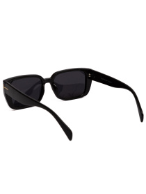 Солнцезащитные очки Famo модель A1207P_03 Фото