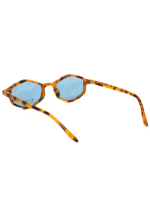 Сонцезахисні окуляри Famo модель A19046P_02 Фото