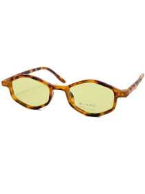 Солнцезащитные очки Famo модель A19046P_04 Фото