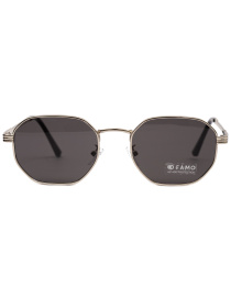 Окуляри Famo модель Y2521_04 Фото