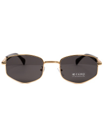 Сонцезахисні окуляри Famo модель Y2927_01 Фото