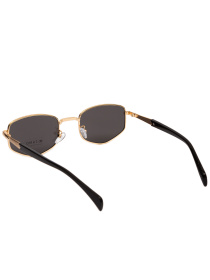 Сонцезахисні окуляри Famo модель Y2927_01 Фото