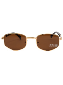 Сонцезахисні окуляри Famo модель Y2927_04 Фото