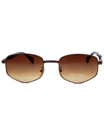 Окуляри Famo модель Y2927_06 Фото