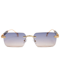 Очки Famo модель Y2660_04 Фото