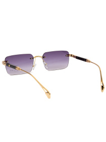 Сонцезахисні окуляри Famo модель Y2660_09 Фото