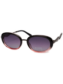 Солнцезащитные очки Famo модель E26006P_02 Фото