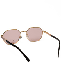 Солнцезащитные очки Famo модель E026P_06 Фото