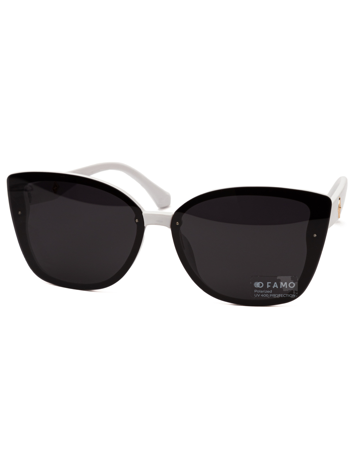 Очки Famo модель E2066P_02 Фото