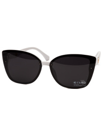 Очки Famo модель E2066P_02 Фото