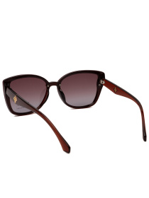 Очки Famo модель E2066P_05 Фото