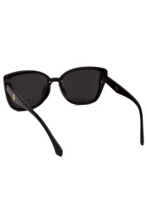 Окуляри Famo модель E2066P_07 Фото