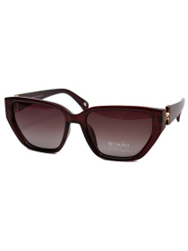 Солнцезащитные очки Famo модель E26022P_02 Фото