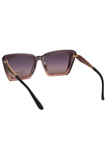 Солнцезащитные очки Famo модель E26026P_02 Фото