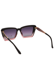 Солнцезащитные очки Famo модель E26026P_03 Фото