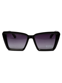 Солнцезащитные очки Famo модель E26026P_06 Фото