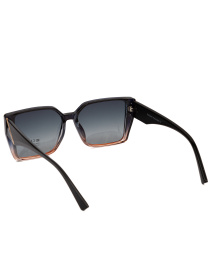 Сонцезахисні окуляри Famo модель E26018P_01 Фото