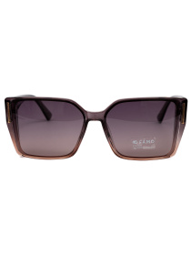 Солнцезащитные очки Famo модель E26018P_03 Фото