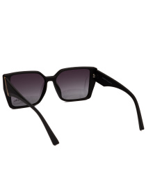 Очки Famo модель E26018P_04 Фото