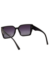 Солнцезащитные очки Famo модель E26018P_06 Фото