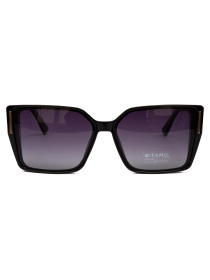 Солнцезащитные очки Famo модель E26018P_06 Фото