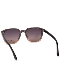 Солнцезащитные очки Famo модель E26007P_02 Фото