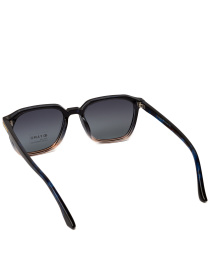 Солнцезащитные очки Famo модель E26007P_03 Фото